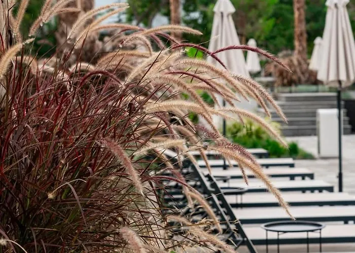 Appartement Azur Alegria Luxury With Pool Access St Constantin et Helena